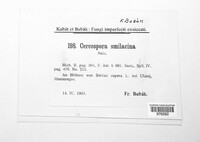 Image Associated With the Occurrence